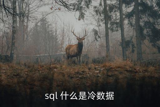 sql 什么是冷數(shù)據(jù)
