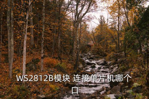 WS2812B模塊 連接單片機(jī)哪個(gè)口