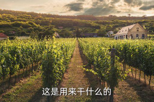 這是用來干什么的