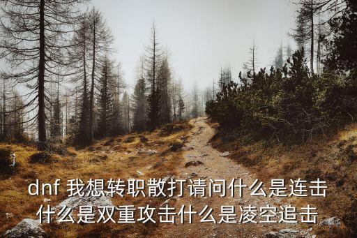 dnf 我想轉(zhuǎn)職散打請(qǐng)問(wèn)什么是連擊什么是雙重攻擊什么是凌空追擊