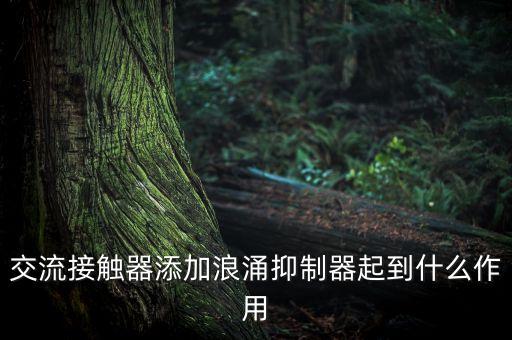 交流接觸器添加浪涌抑制器起到什么作用