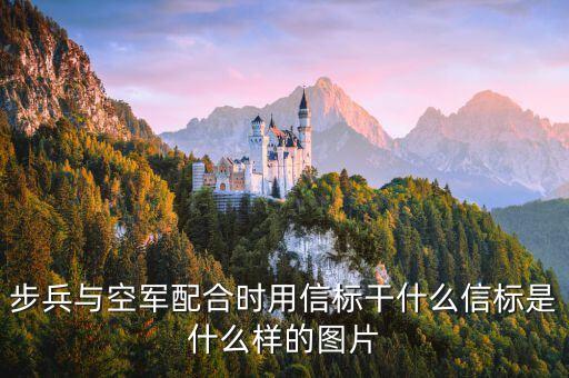 步兵與空軍配合時(shí)用信標(biāo)干什么信標(biāo)是什么樣的圖片