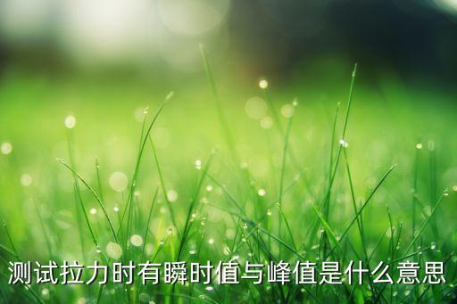測試?yán)r(shí)有瞬時(shí)值與峰值是什么意思
