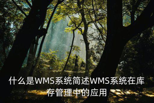 wms，什么是wms系統(tǒng)