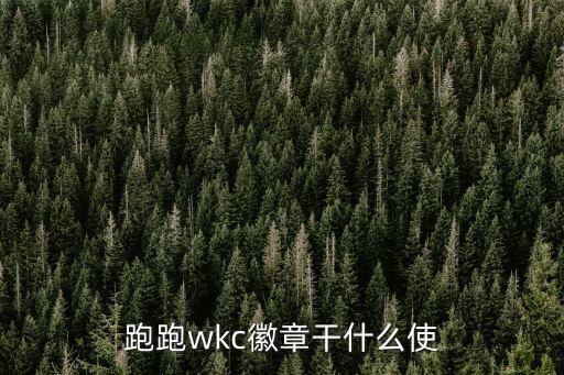 跑跑wkc徽章干什么使