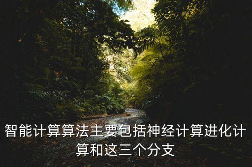智能計算算法主要包括神經(jīng)計算進化計算和這三個分支