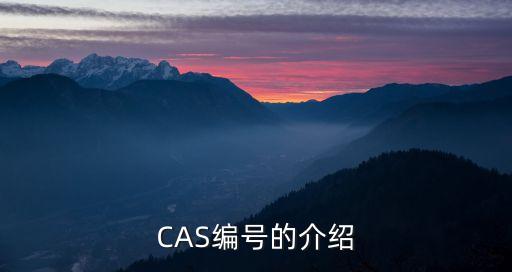 CAS編號(hào)的介紹