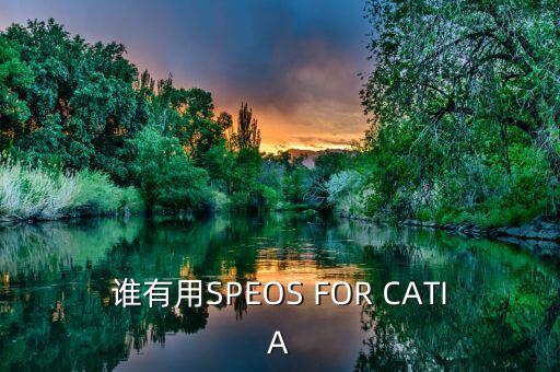 誰有用SPEOS FOR CATIA