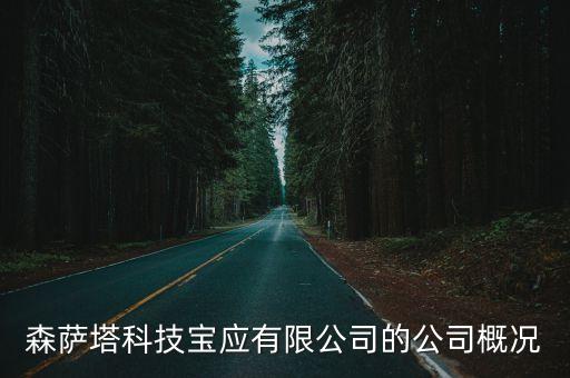 森薩塔科技寶應(yīng)有限公司的公司概況