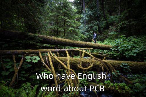 Who have English word about PCB