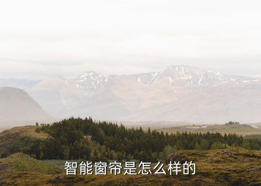 智能窗簾是怎么樣的