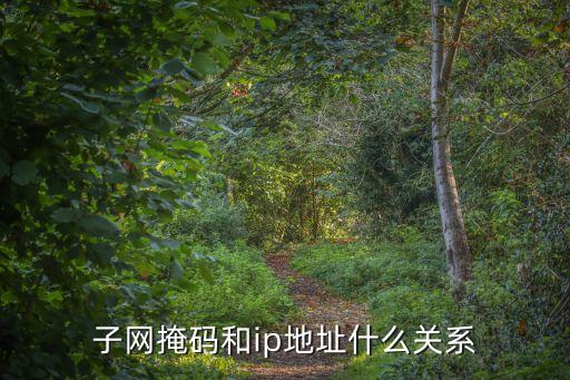 子網(wǎng)掩碼和ip地址什么關系