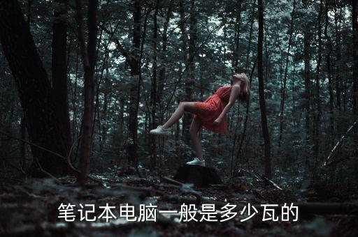 筆記本多少瓦，筆記本電腦的功率是多少