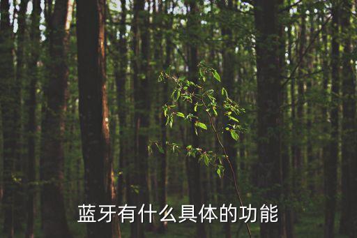 藍牙有什么具體的功能