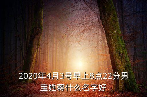 2020年4月3號(hào)早上8點(diǎn)22分男寶姓蔣什么名字好