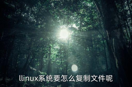 vim復(fù)制，llinux系統(tǒng)要怎么復(fù)制文件呢