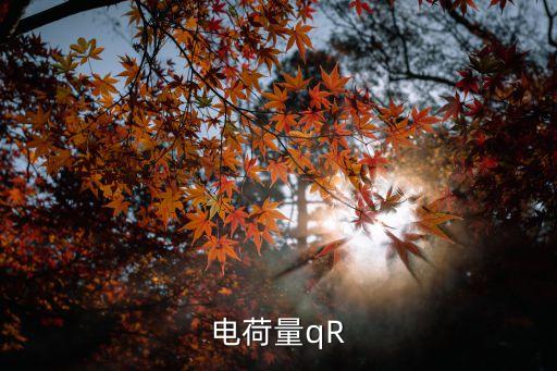 電荷量qR