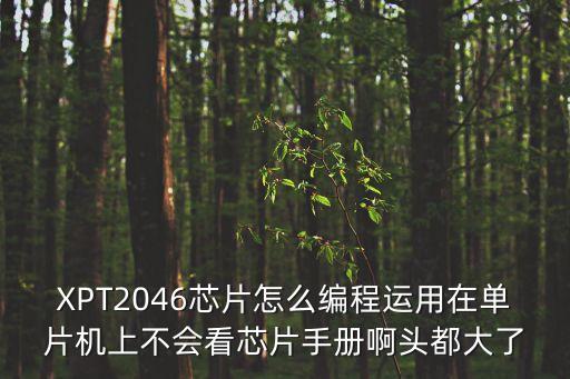 XPT2046芯片怎么編程運(yùn)用在單片機(jī)上不會(huì)看芯片手冊啊頭都大了