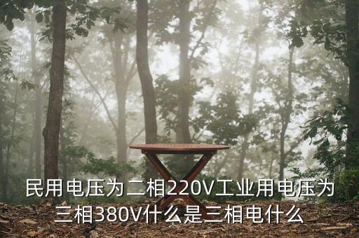 民用電壓為二相220V工業(yè)用電壓為三相380V什么是三相電什么