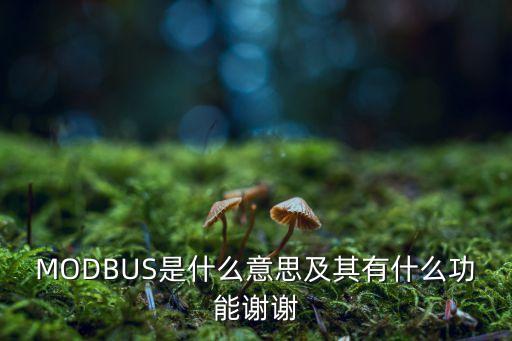 MODBUS是什么意思及其有什么功能謝謝