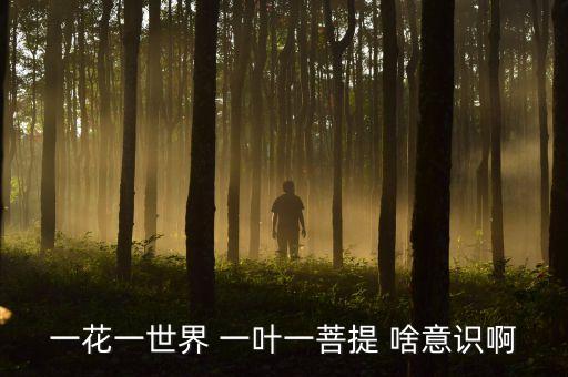 一花一世界 一葉一菩提 啥意識(shí)啊