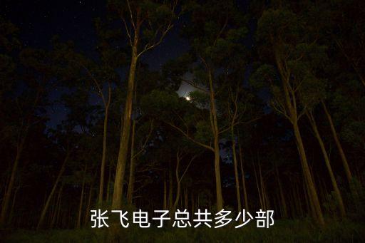 張飛電子總共多少部