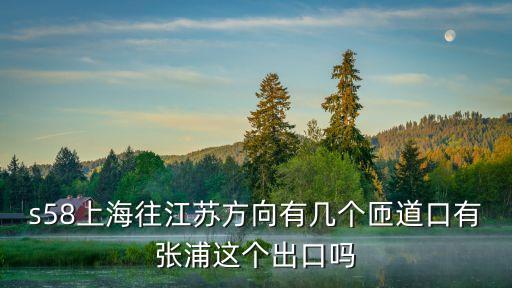 s58，s58上海往江蘇方向有幾個匝道口有張浦這個出口嗎