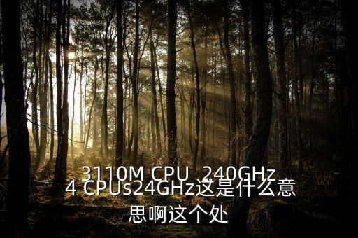 3110M CPU  240GHz 4 CPUs24GHz這是什么意思啊這個處