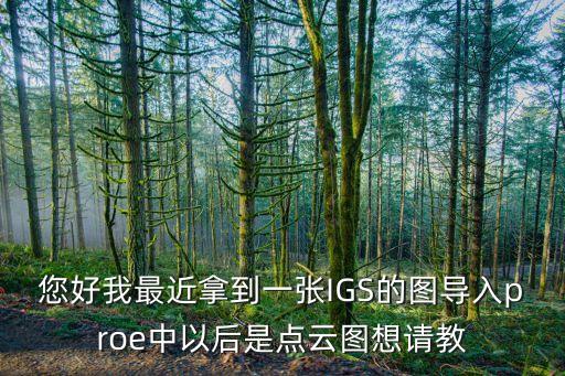 您好我最近拿到一張IGS的圖導(dǎo)入proe中以后是點(diǎn)云圖想請教