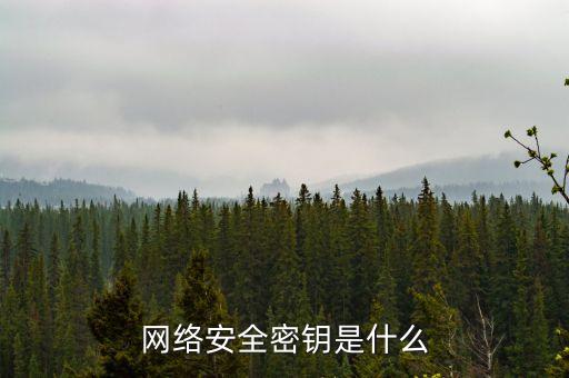 網(wǎng)絡(luò)安全密鑰是什么