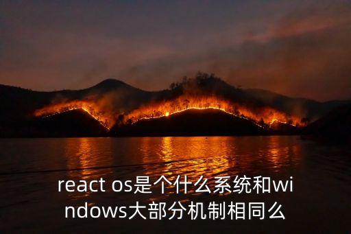 ReactOS，ReactOS是什么
