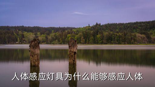 人體感應(yīng)燈具為什么能夠感應(yīng)人體