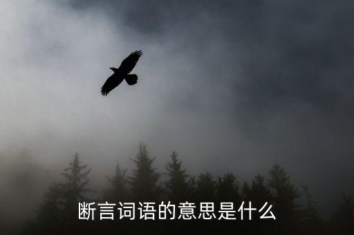 斷言，斷言詞語的意思是什么