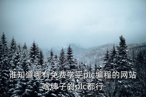誰(shuí)知道哪有免費(fèi)學(xué)平plc編程的網(wǎng)站啥牌子的plc都行