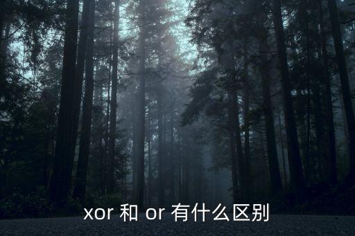 xor，xor有什么用