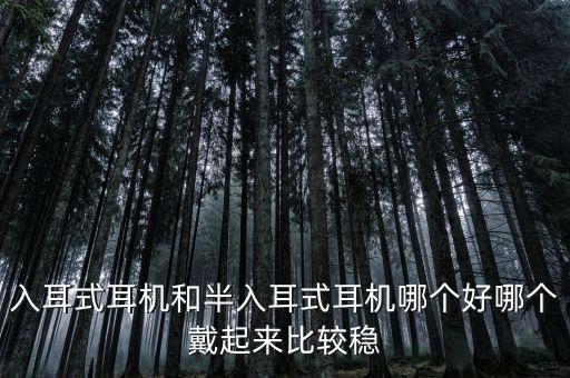 入耳式耳機和半入耳式耳機哪個好哪個戴起來比較穩(wěn)