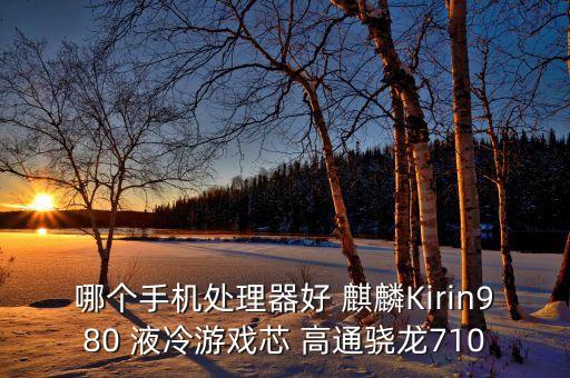 麒麟9010，2014年初華為發(fā)布麒麟910采用16hz主頻四核gpu采用多少納米