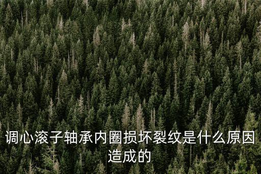 調(diào)心滾子軸承內(nèi)圈損壞裂紋是什么原因造成的