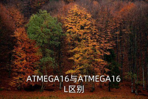 ATMEGA16與ATMEGA16L區(qū)別