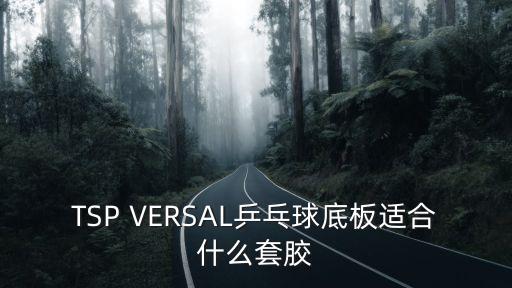 TSP VERSAL乒乓球底板適合什么套膠