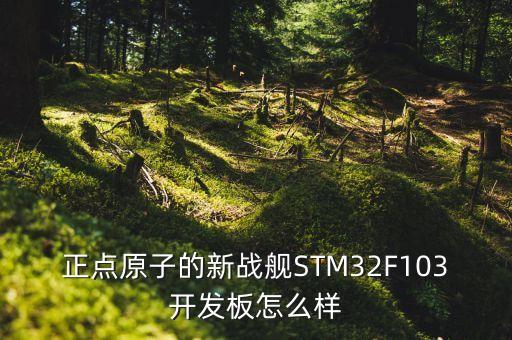 正點原子的新戰(zhàn)艦STM32F103開發(fā)板怎么樣