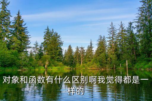 函數(shù)對象，對象和函數(shù)有什么區(qū)別啊我覺得都是一樣的