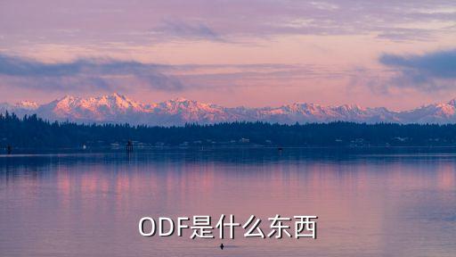 ODF是什么東西