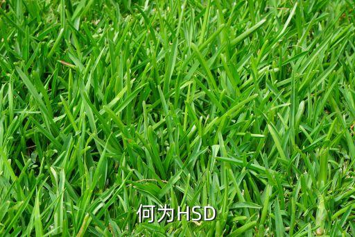 hsd，何為HSD
