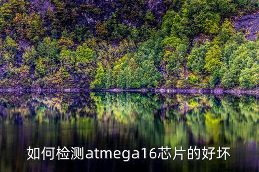 如何檢測atmega16芯片的好壞