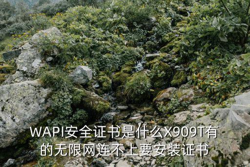 wapi證書，WAPI安全證書是什么X909T有的無限網(wǎng)連不上要安裝證書