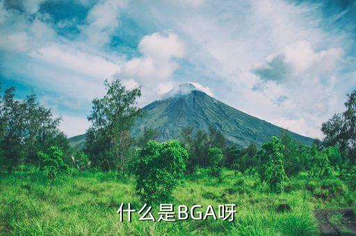 bga，什么是BGA