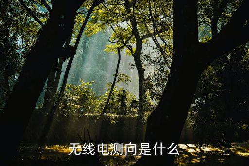無(wú)線電測(cè)向，什么是無(wú)線電測(cè)向