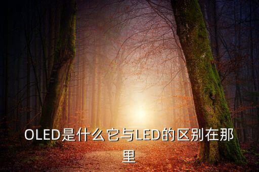 OLED是什么它與LED的區(qū)別在那里