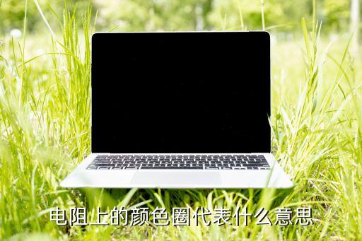 電阻上的顏色圈代表什么意思